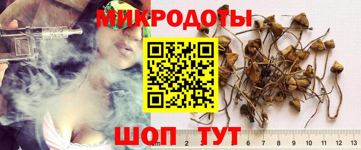 Галлюциногенные грибы MAGIC MUSHROOMS Губаха